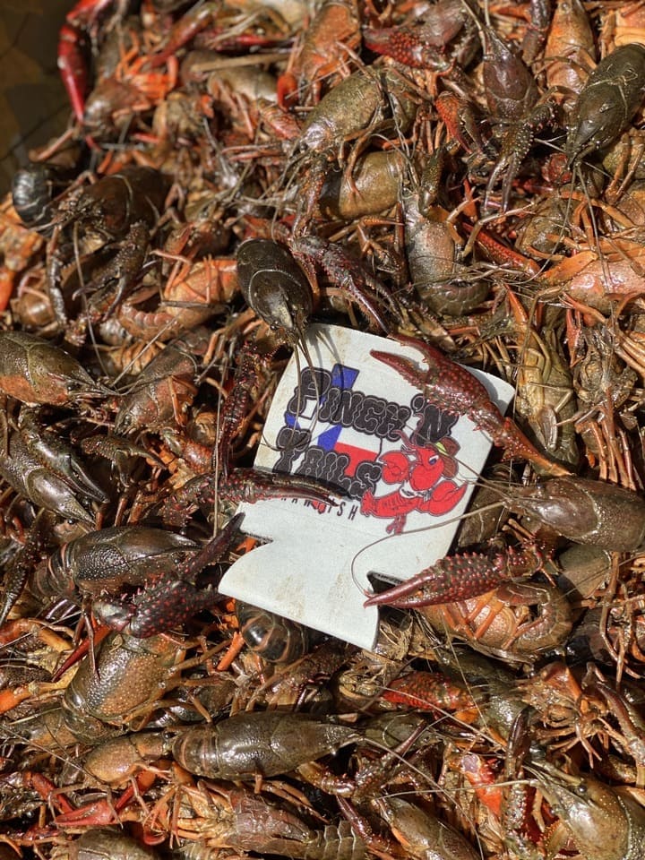 about pinchn tails crawfish