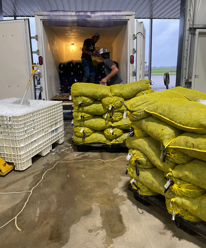 loading the crawfish truck